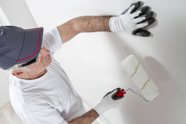 Best Mold Odor Removal Services  in Reno, NV