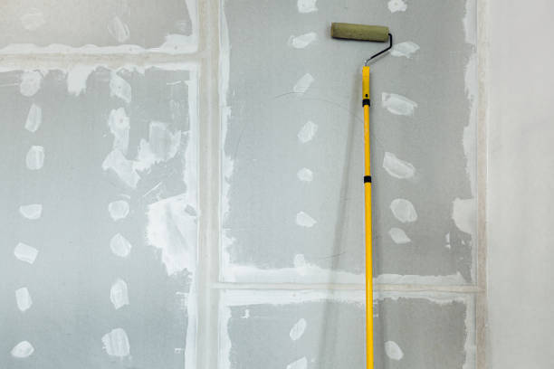  Reno, NV Mold Removal Pros