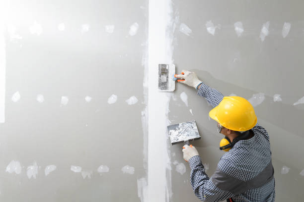 Dehumidification Services in Reno, NV
