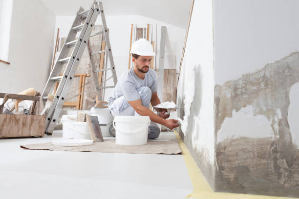 Best Mold Damage Restoration  in Reno, NV