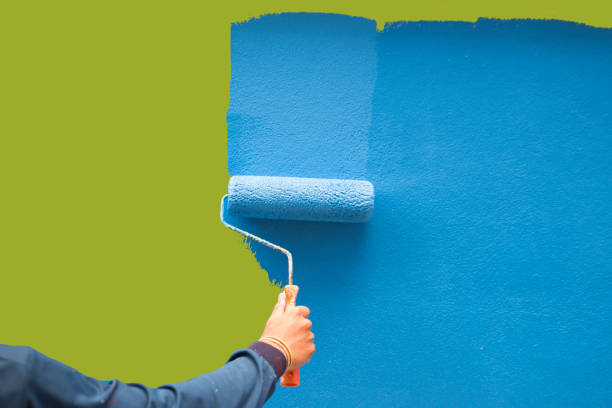 Best Commercial Mold Inspection  in Reno, NV
